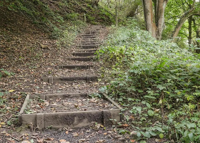 Сasa de vacaciones Farndale