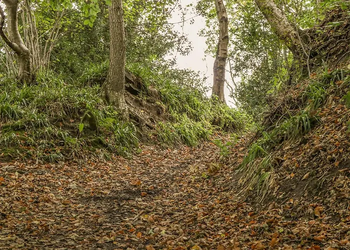 Farndale Сasa de vacaciones Whitby